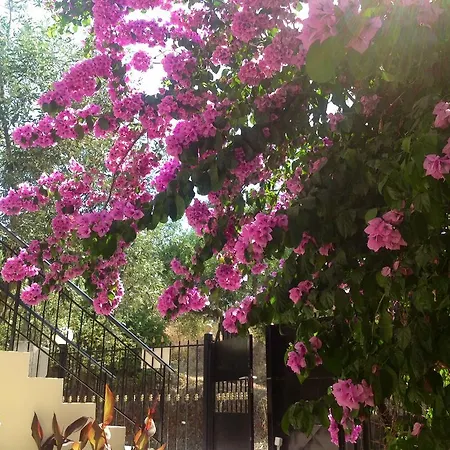 Villa Sofia Chrani Exteriér fotografie